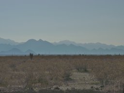 Arizona_2007-2008-029